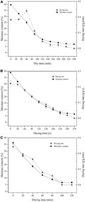 Flavor properties of Chinese noodles processed by dielectric drying